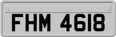 FHM4618