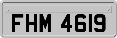 FHM4619