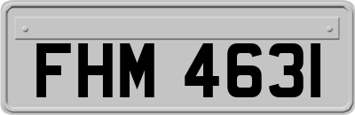 FHM4631