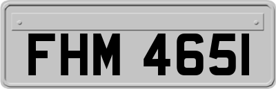 FHM4651