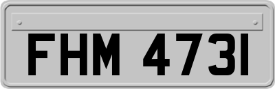 FHM4731