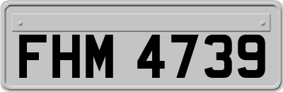 FHM4739