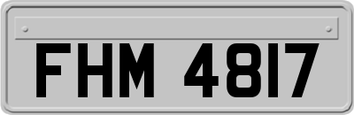 FHM4817