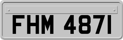 FHM4871