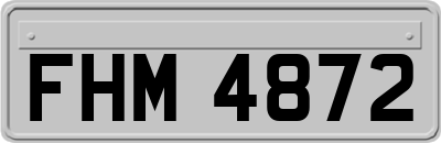 FHM4872