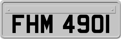 FHM4901