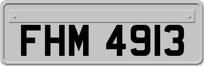 FHM4913