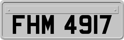 FHM4917