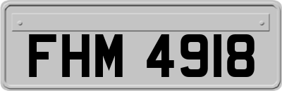 FHM4918