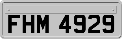FHM4929