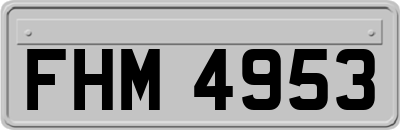 FHM4953