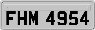 FHM4954
