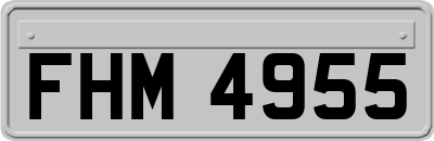 FHM4955