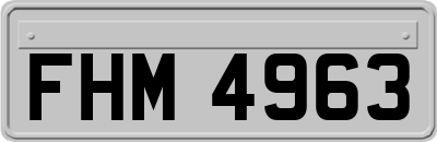 FHM4963