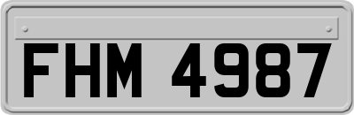 FHM4987