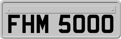 FHM5000