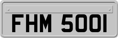 FHM5001
