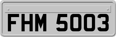 FHM5003