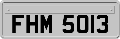FHM5013