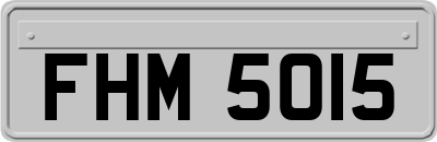 FHM5015