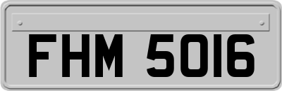 FHM5016