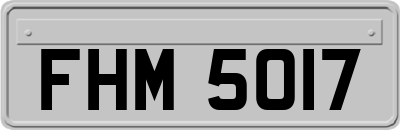 FHM5017