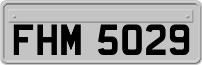 FHM5029