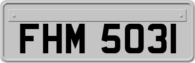 FHM5031