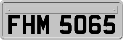 FHM5065