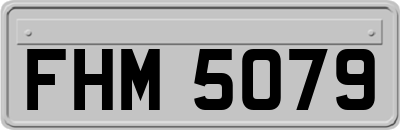 FHM5079