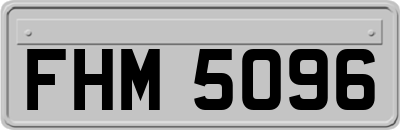 FHM5096