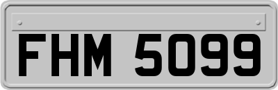 FHM5099