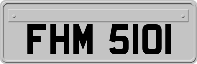 FHM5101