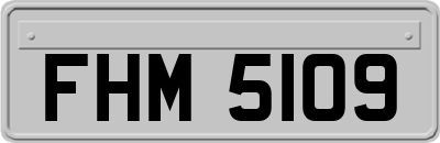 FHM5109