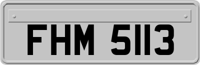 FHM5113