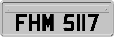 FHM5117