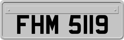 FHM5119