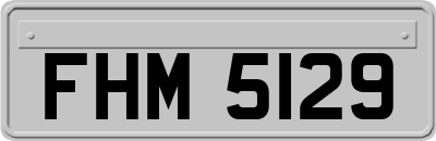 FHM5129