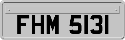 FHM5131