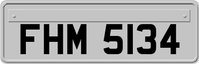 FHM5134