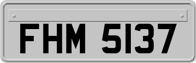 FHM5137