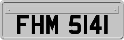 FHM5141