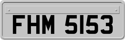 FHM5153