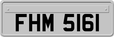 FHM5161