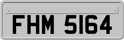 FHM5164