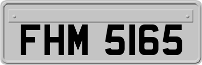 FHM5165