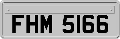 FHM5166