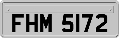 FHM5172