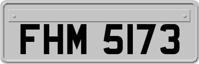 FHM5173