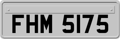 FHM5175